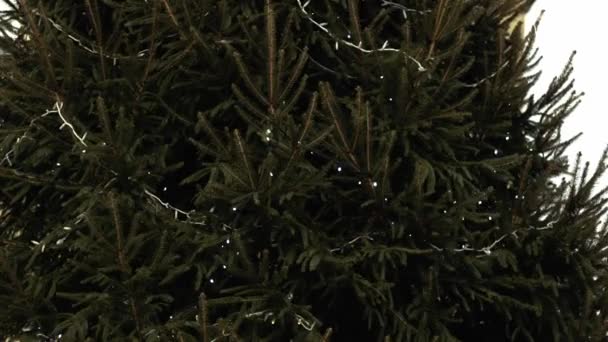 Christmas Tree Decorated Twinkling Lights Medium Zoom Shot Selective Focus — Video Stock