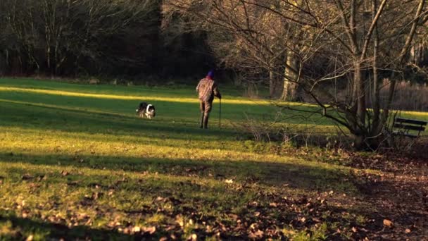 Man Dog Autumn Parkland Scene Medium Zoom Shot Selective Focus — Stockvideo