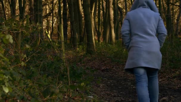 Woman Walking Autumn Woodland Wide Shot Slow Motion Selective Focus — Video