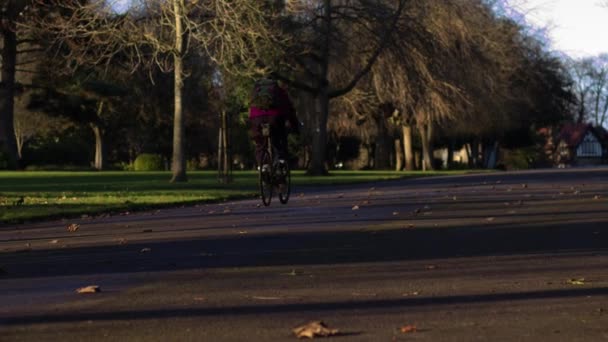 Man Bicycle Park Wide Establishing Zoom Shot Slow Motion Selective — Vídeo de Stock