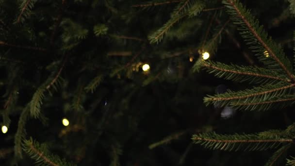 Christmas Tree Decorated Twinkling Lights Close Shot Selective Focus — Stock videók