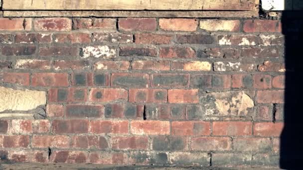 Old Damaged Grunge Brick Wall Dolly Medium Selective Focus — Stockvideo