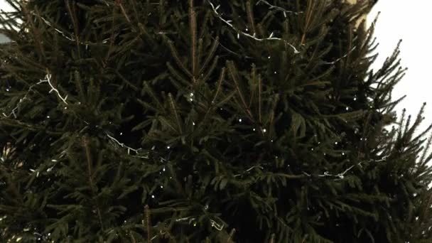 Christmas Tree Decorated Twinkling Lights Medium Shot Selective Focus — Stockvideo