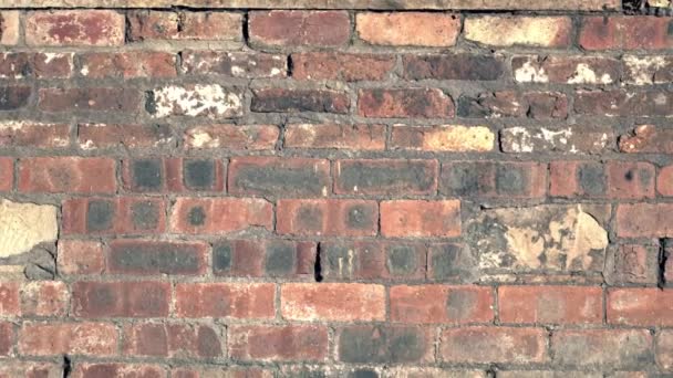 Old Damaged Grunge Brick Wall Dolly Medium Zoom Selective Focus — Stockvideo