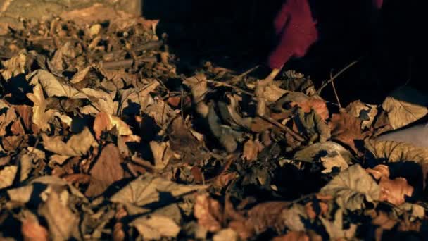 Hand Playing Dried Autumn Leaves Medium Slow Motion Shot Selective — Vídeos de Stock