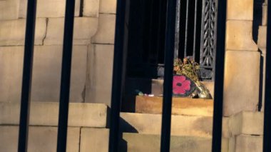 World War poppy memorial behind metal fence medium dolly slow motion selective focus 