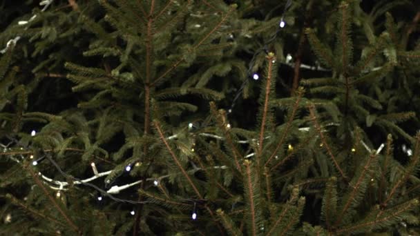 Χριστουγεννιάτικο Δέντρο Διακοσμημένο Φώτα Που Αναβοσβήνουν Μεσαίο Zoom Shot Επιλεκτική — Αρχείο Βίντεο