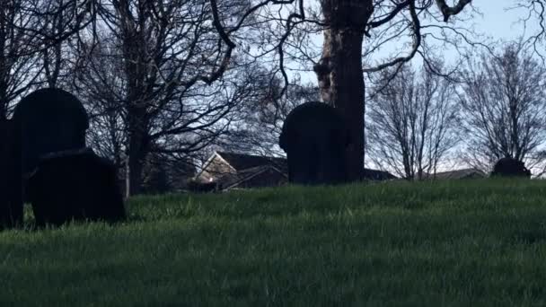 Старые Заброшенные Надгробия Церковном Кладбище Туманом Эфирные Эффекты Средний Кукольный — стоковое видео