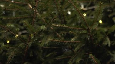 Christmas tree decorated with twinkling lights close up 4k shot selective focus 