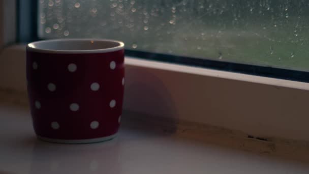 Γυναίκα Ζεστό Ποτό Κοιτάζει Έξω Από Παράθυρο Στη Βροχή Close — Αρχείο Βίντεο