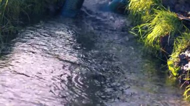 Natural stream of shallow water and mud shot medium 4k selective focus