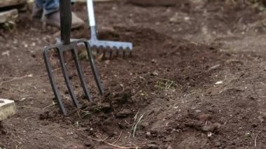 Gardener preparing soil with rake for growing plants medium slow motion shot selective focus