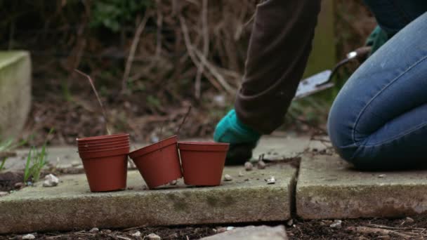 Kadın Bahçe Yolunda Yabani Otları Kazıyor Yavaş Çekim Seçici Odak — Stok video