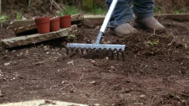 Jardinero Preparando Tierra Con Rastrillo Para Cultivo Plantas Enfoque Selectivo — Vídeo de stock