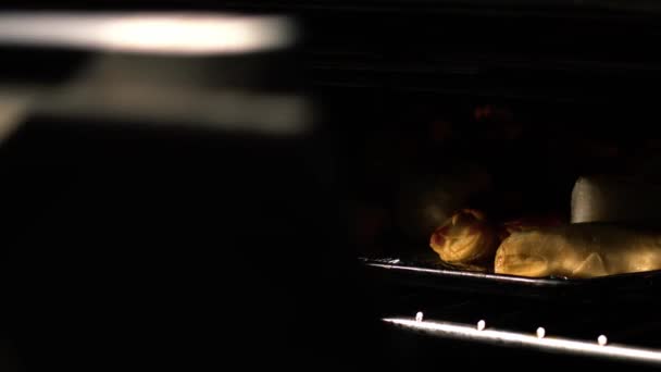 Getting Hot Baked Food Oven Shot Selective Focus — Video Stock