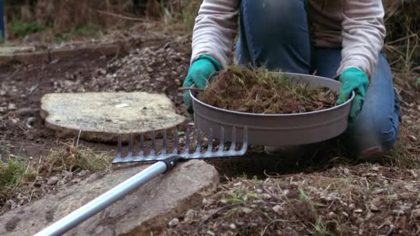 成長中の植物のための土壌ふるいで土壌をふるいにかける庭師スローモーションショット選択的フォーカス — ストック動画