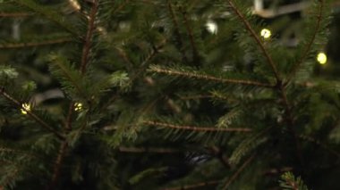 Christmas tree decorated with twinkling lights close up zoom shot selective focus 