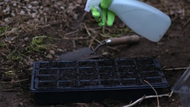 プロパゲーターのガーデナー散水種子を閉じるアップ4Kショット選択的フォーカス — ストック動画