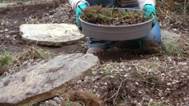 带有土壤筛分的园艺师筛选土壤 用于种植中等慢速运动4K芽选择重点植物 — 图库视频影像