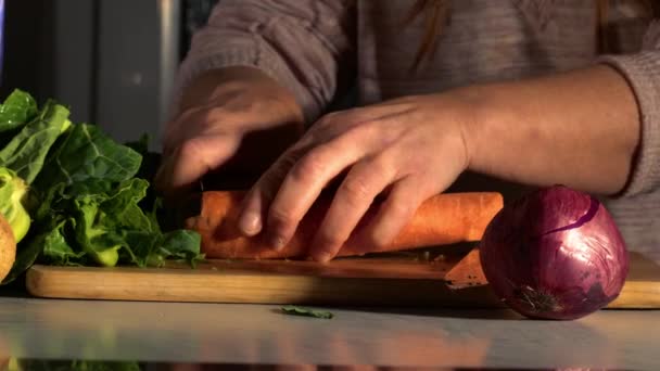Vrouw Bereidt Verse Gezonde Wintergroenten Ingrediënten Voor Koken Medium Zoom — Stockvideo