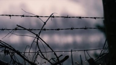 Yağmurlu bir günde dikenli tel örgü 4k ağır çekim seçici odak noktası