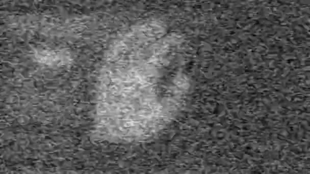 Static Glitch Interference Noise Television Reveals Creepy Handanimation — Video