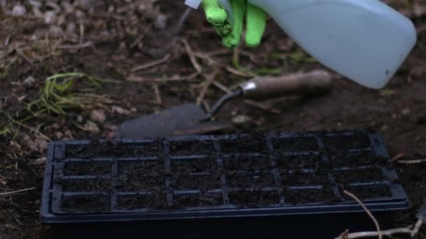 プロパゲータの庭師の散水種子を閉じるズームショット選択的フォーカス — ストック動画