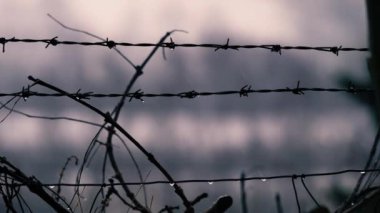 Yağmurlu bir günde dikenli tel örgü. Orta boy. Yavaş çekim seçici odak noktası.