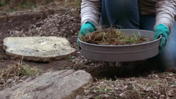 成長中の植物のための土壌ふるいで土壌をふるいにかける庭師スローモーションズームショット選択的フォーカス — ストック動画