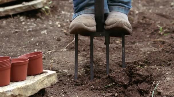 成長中の植物のための土壌を準備する庭師中スローモーションズームショット選択的フォーカス — ストック動画