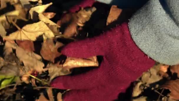 Hand Playing Dried Autumn Leaves Medium Slow Motion Shot Selective — Vídeo de Stock