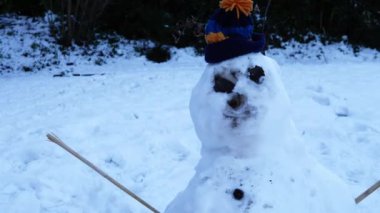 Kış parkında yün şapkalı kardan adam seçici odak noktasını vurdu