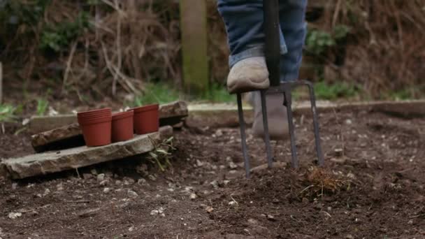 成長中の植物のための土壌を準備する庭師中スローモーションズームショット選択的フォーカス — ストック動画
