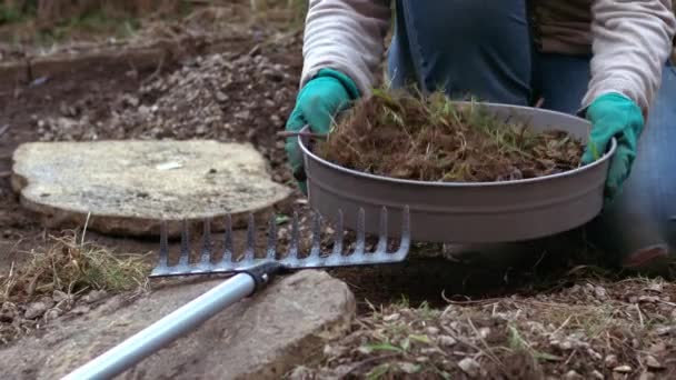 园艺师筛选土壤与土壤筛分生长植物中慢动作投篮选择焦点 — 图库视频影像