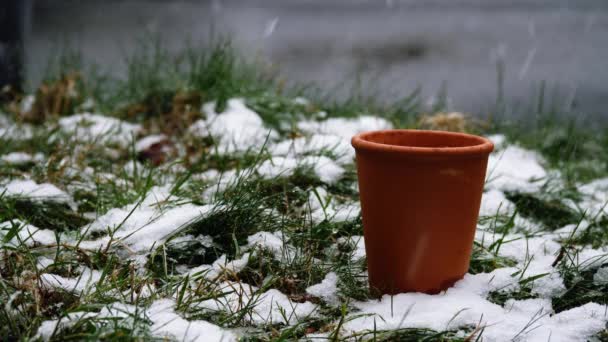 Terracotta Plant Pots Snow Medium Shot Slow Motion Selective Focus — Stock Video