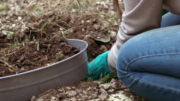 Ogrodnik Przygotowujący Glebę Sitem Glebowym Uprawy Roślin Zbliżenie Slow Motion — Wideo stockowe