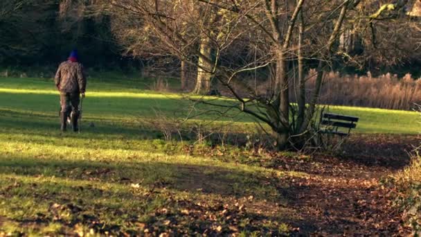 Man Dog Autumn Parkland Scene Medium Zoom Shot Selective Focus — Vídeos de Stock