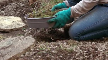 Gardener sifting soil with soil sieve for growing plants medium slow motion shot selective focus
