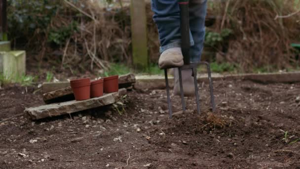 植物の成長のための土壌を準備する庭師中低速運動4Kワイドショット選択的フォーカス — ストック動画
