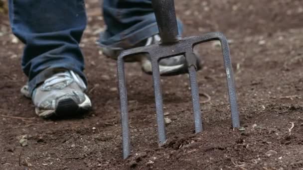植物の成長のためのフォークで土壌を準備する庭師中ズームスローモーションショット選択的フォーカス — ストック動画