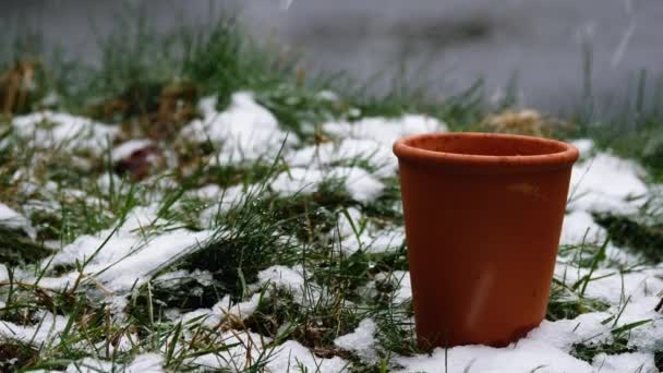 Terracotta Plant Pot Snow Zoom Shot Slow Motion Selective Focus — Stock Video