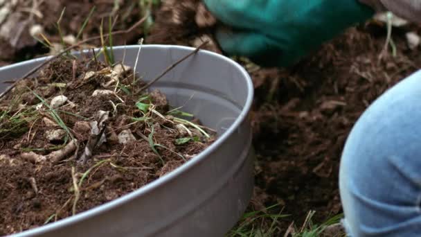 재배하는 식물의 중간느린 동작을 토양을 준비하는 정원사 선택적 — 비디오