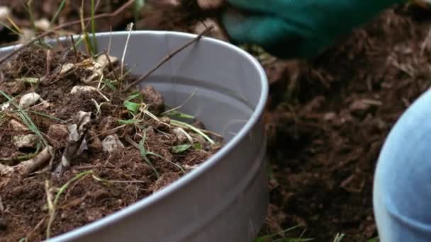 植物の成長のための土壌ふるいで土壌を準備する庭師中ズームスローモーションショット選択的フォーカス — ストック動画