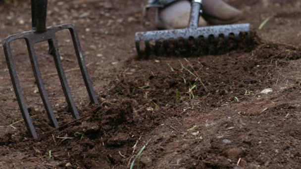 Gardener Preparing Soil Rake Growing Plants Medium Slow Motion Shot — Stock Video