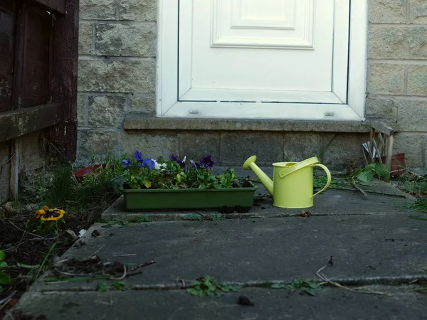 水スプリンクラーとパンジーの花と黄色の散水缶ワイドショット選択的フォーカス — ストック写真