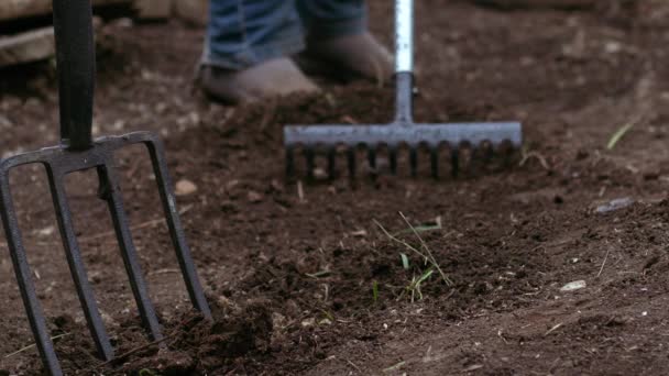 Zahradník Připravuje Půdu Hráběmi Pro Pěstování Rostlin Medium Slow Motion — Stock video