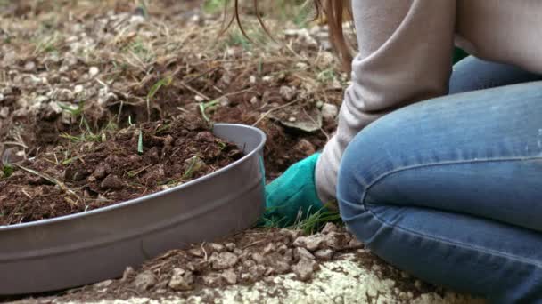 Tuinman Voorbereiding Bodem Met Bodemzeef Voor Groeiende Planten Close Slow — Stockvideo
