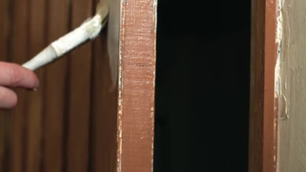 Украска Дома Покраска Двери Подкладкой Краски Закрыть Замедленный Зум Выстрел — стоковое видео