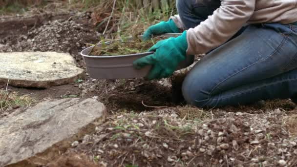 成長中の植物のための土壌ふるいで土壌をふるいにかける庭師スローモーション4Kショット選択的フォーカス — ストック動画