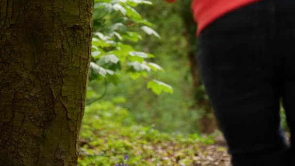 Mujer Mantiene Forma Corriendo Medio Bosque Exuberante Cámara Lenta Tiro — Vídeo de stock